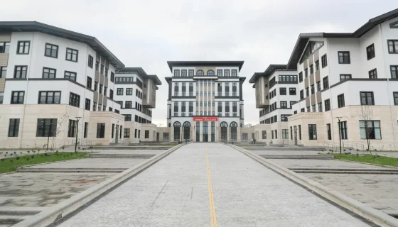 ORDU ALTINORDU HÜKÜMET KONAĞI